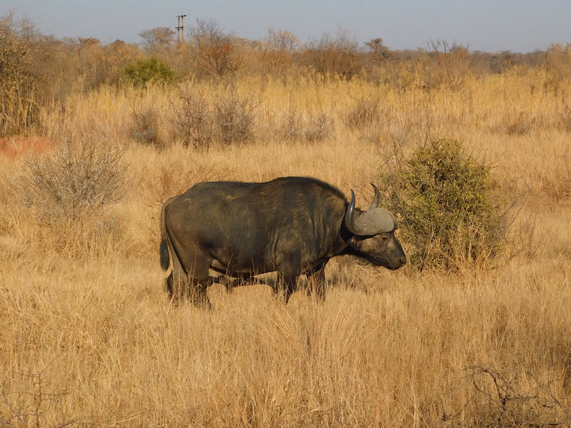 Exploring the World of Indie Gaming: A Creative Revolution